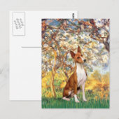 Frühling - Basenji Postkarte (Vorne/Hinten)