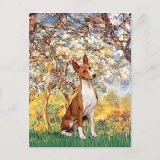 Frühling - Basenji Postkarte (Vorderseite)