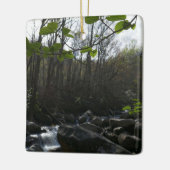 Frühling Blätter am Kleinen Taubenfluss Keramikornament (Links)