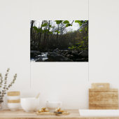 Frühling Blätter am Kleinen Taubenfluss Poster (Küche)