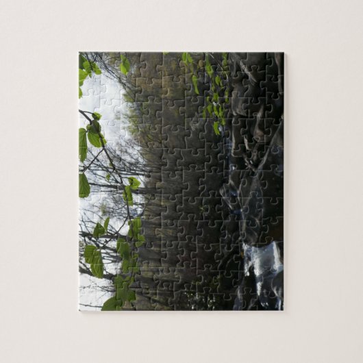 Frühling Blätter am Kleinen Taubenfluss Puzzle (Vertikal)