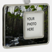 Frühling Blätter am Kleinen Taubenfluss Rahmen-Ornament Silber (Rechts)