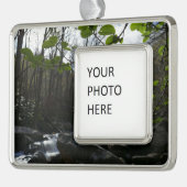 Frühling Blätter am Kleinen Taubenfluss Rahmen-Ornament Silber (Links)