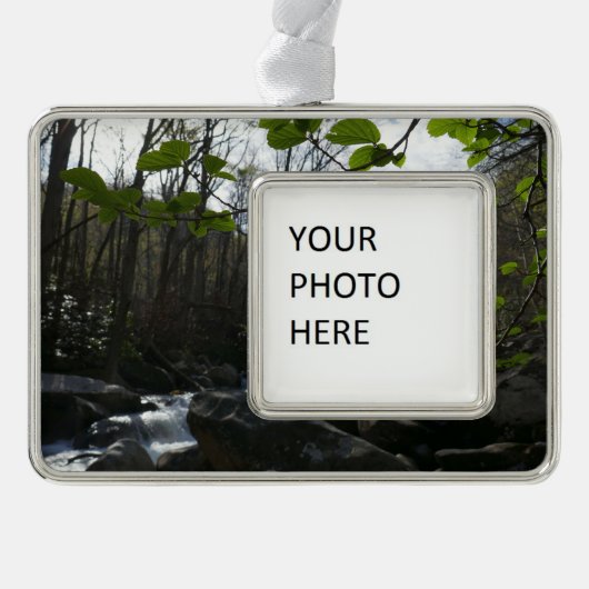 Frühling Blätter am Kleinen Taubenfluss Rahmen-Ornament Silber (Vorderseite)