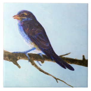 Frühling Blaue Vogel Keramikfliese