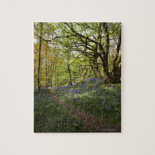 Frühling Bluebellholz Puzzle (Vertikal)
