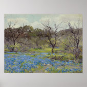 Frühling - Bluebonnets und Mesquite Poster (Vorne)