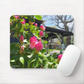 Frühling blüht in der Hütte City - Martha's Vineya Mousepad (Mit Mouse)