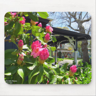 Frühling blüht in der Hütte City - Martha's Vineya Mousepad