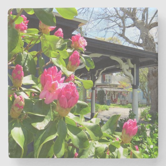 Frühling blüht in der Hütte City - Martha's Vineya Steinuntersetzer (Vorderseite)