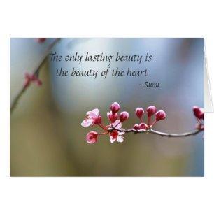 Frühling blüht Schönheit