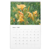 Frühling blüht Wandkalender durch Janz (Mär 2027)