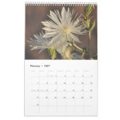 Frühling blüht Wandkalender durch Janz (Feb 2027)