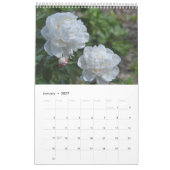 Frühling blüht Wandkalender durch Janz (Jan 2027)