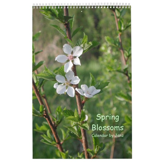 Frühling blüht Wandkalender durch Janz (Titelbild)