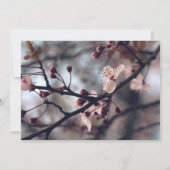 Frühling Cherry Blossom Geburtstagsparty Einladung (Rückseite)