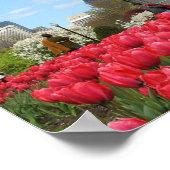 Frühling der öffentlichen Gartenanlage Poster (Ecke)