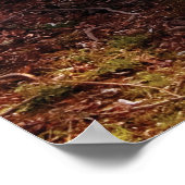Frühling - Ein Zeichen des Frühlings Poster (Ecke)