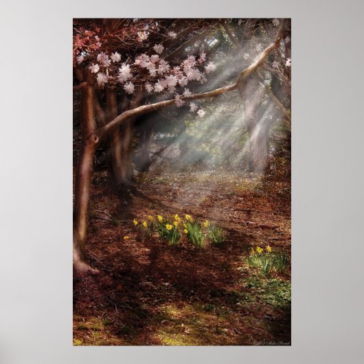 Frühling - Ein Zeichen des Frühlings Poster (Vorne)