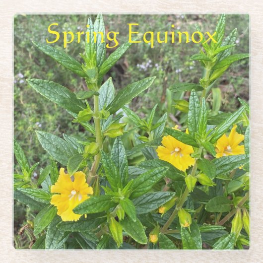 Frühling Equinox Glasuntersetzer (Vorderseite)