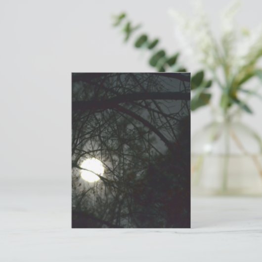 Frühling Equinox Vollmond Postkarte (Stehend Vorderseite)