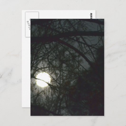 Frühling Equinox Vollmond Postkarte (Vorne/Hinten)
