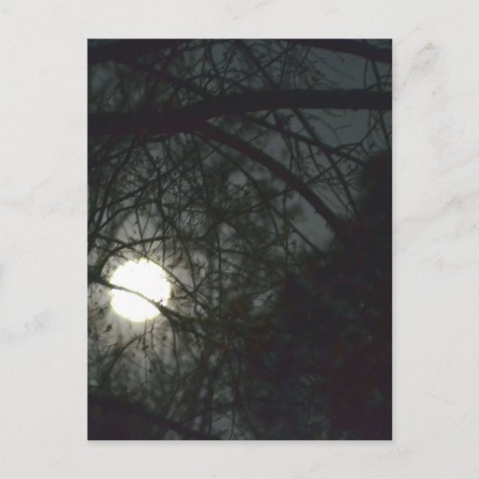 Frühling Equinox Vollmond Postkarte (Vorderseite)