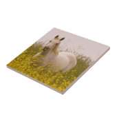 Frühling Fliese (Seite)