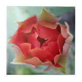 Frühling Fliese (Vorderseite)