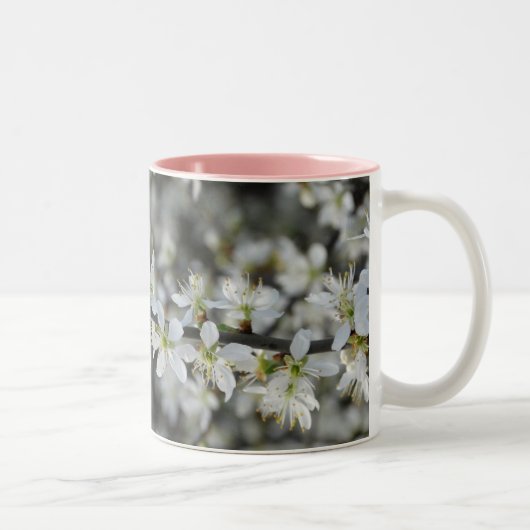 Frühling,Foto-Tasse mit weißen Blüten Zweifarbige Tasse (Rechts)