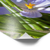 Frühling Fotodruck (Ecke)