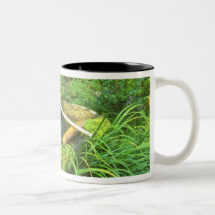 Frühling für Teezeremonie, Sanzen-in-Tempel, Zweifarbige Tasse