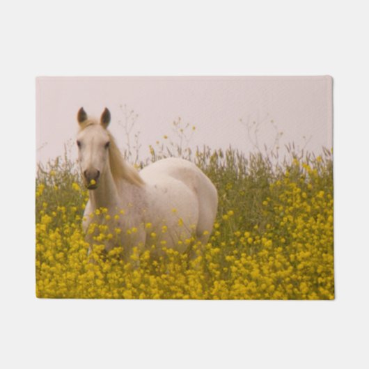 Frühling Fußmatte (Vorderseite)