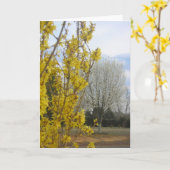 Frühling - Grußkarte Karte (Gelbe Blume)