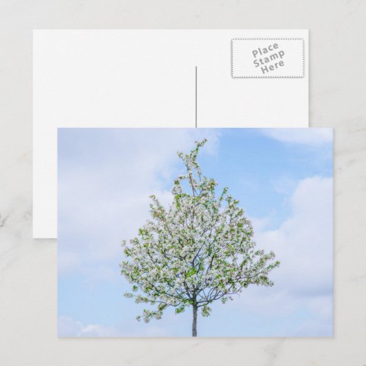 Frühling - Happy Oaster Feiertagspostkarte (Vorne/Hinten)