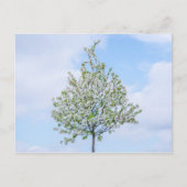 Frühling - Happy Oaster Feiertagspostkarte (Vorderseite)