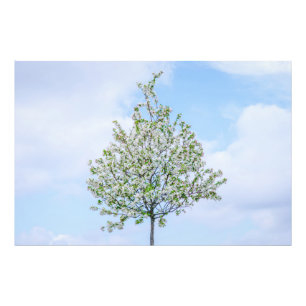 Frühling - Happy Oaster Fotodruck