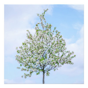 Frühling - Happy Oaster Fotodruck