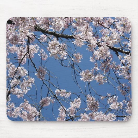 Frühling hat entsprungenes Mousepad (Vorne)