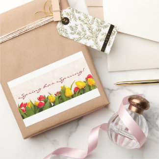 Frühling hat Sprung Painted Tulips Rechteckiger Aufkleber