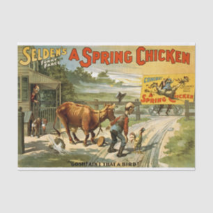 Frühling-Huhn-Decoupage Seidenpapier
