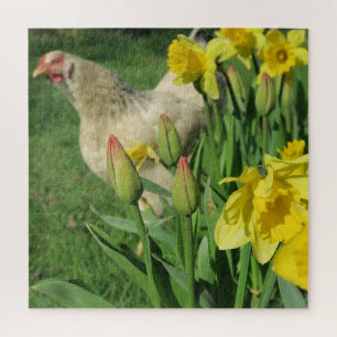Frühling,Huhn, Tier, Küken, Vogel, Bauernhof, süß, Puzzle