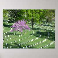Frühling im Arlington National Friedhof