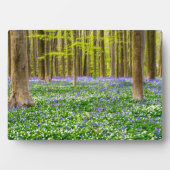 Frühling im Blauen Wald Fotoplatte (Vorderseite)