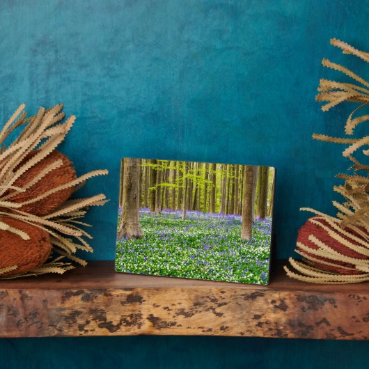 Frühling im Blauen Wald Fotoplatte (Seite)