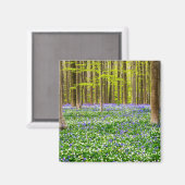 Frühling im Blauen Wald Magnet (Vorderseite/Rückseite)