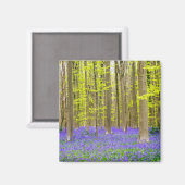 Frühling im Blauen Wald Magnet (Vorderseite/Rückseite)
