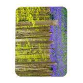 Frühling im Blauen Wald Magnet (Vertikal)