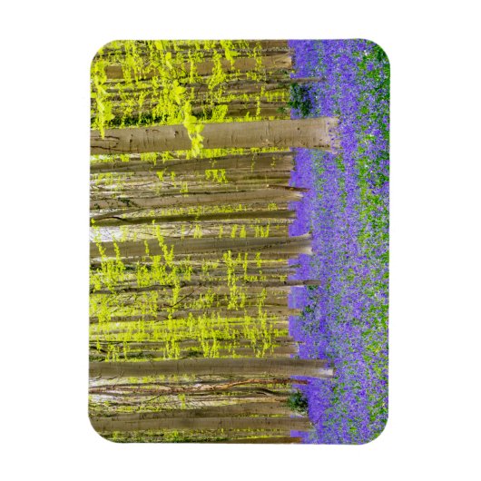 Frühling im Blauen Wald Magnet (Vertikal)