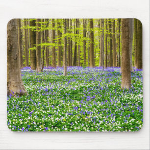 Frühling im blauen Wald Mousepad